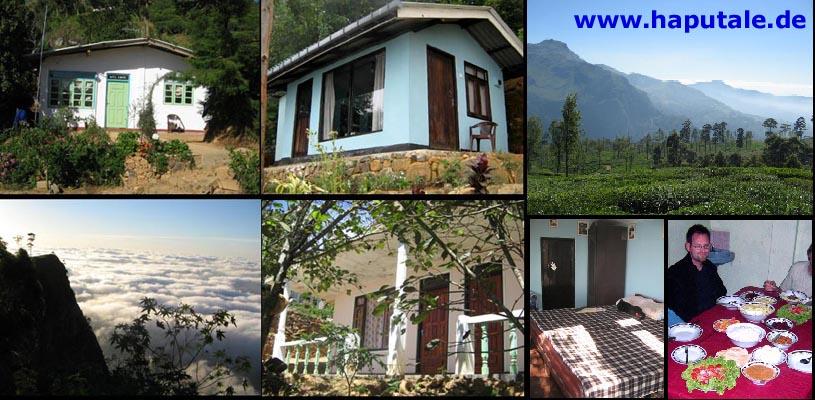 guesthouse-diasrest-2012.JPG